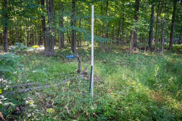 $215,000 | 25 A Klager Road, Saline, MI 48176