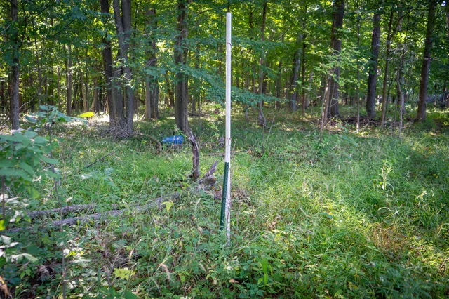 $215,000 | 25 A Klager Road, Saline, MI 48176