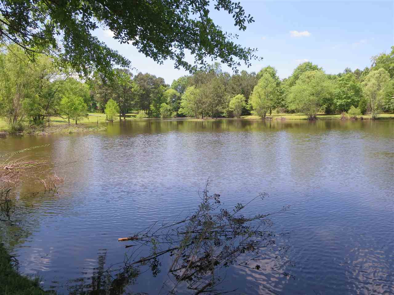 3739 Moncure Marble Road Terry, MS 39170 - Photo 38 of 49 Photo 38