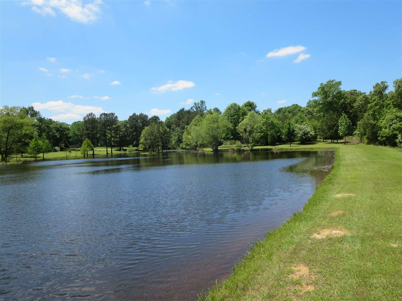 3739 Moncure Marble Road Terry, MS 39170 - Photo 43 of 49 Photo 43