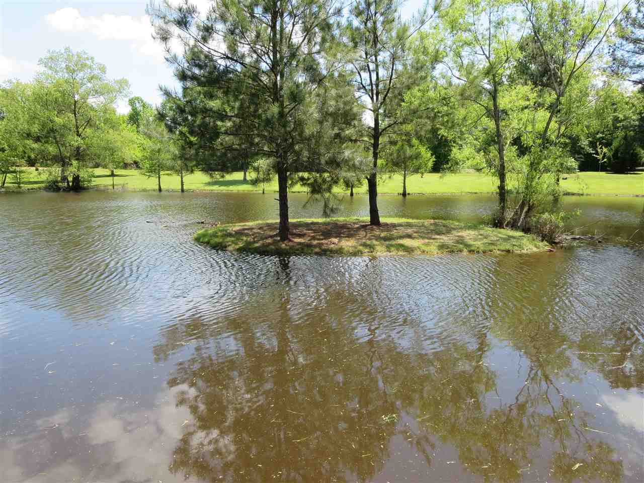 3739 Moncure Marble Road Terry, MS 39170 - Photo 47 of 49 Photo 47
