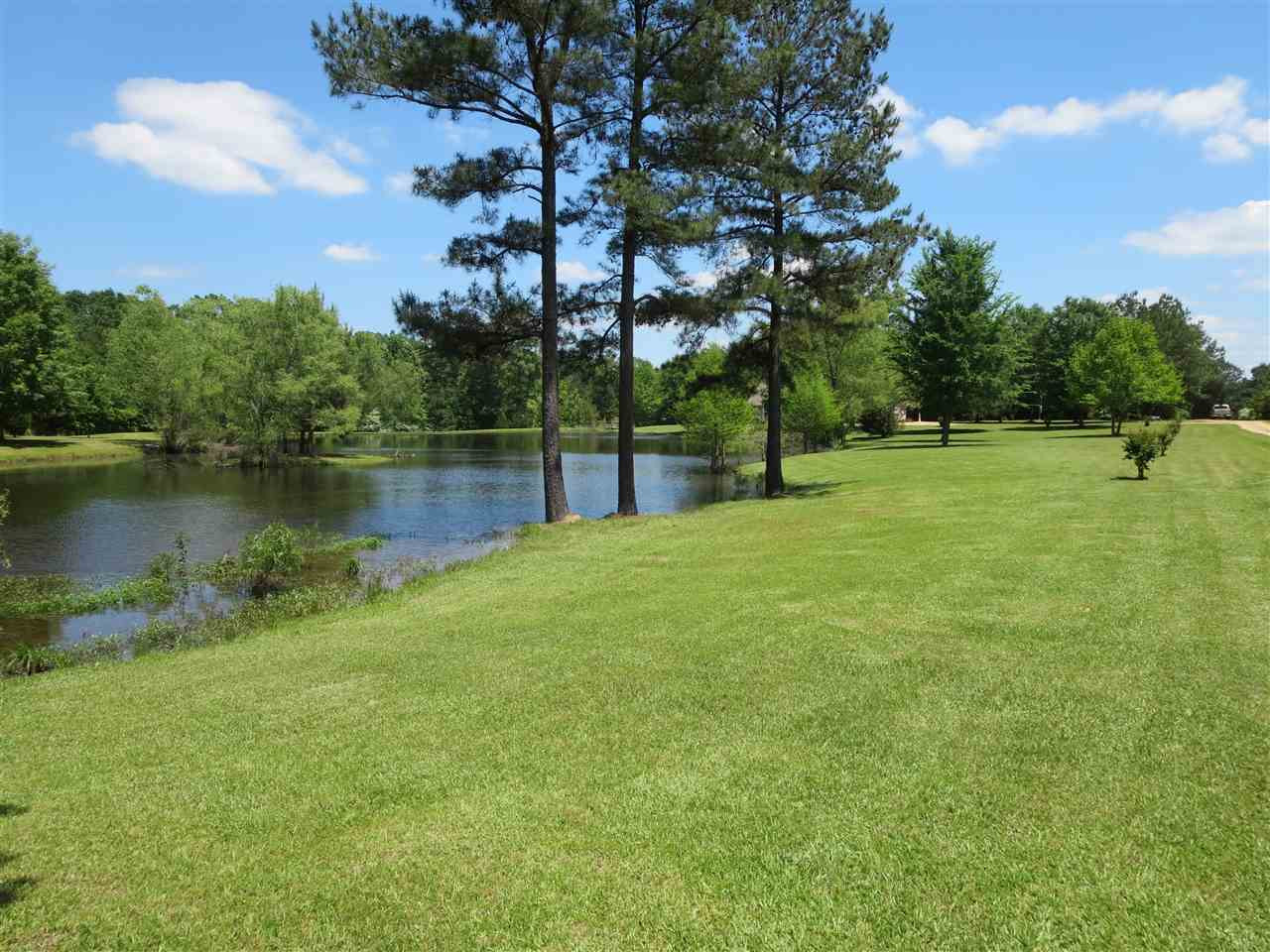 3739 Moncure Marble Road Terry, MS 39170 - Photo 49 of 49 Photo 49