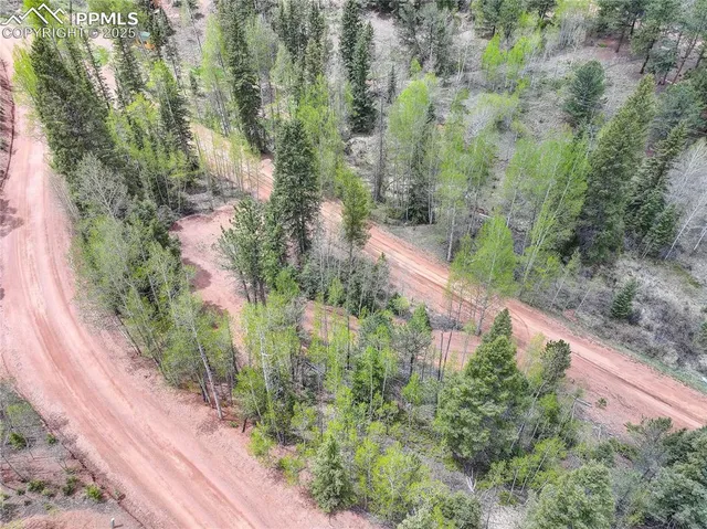$35,000 | 416 Willow Road, Divide, CO 80814