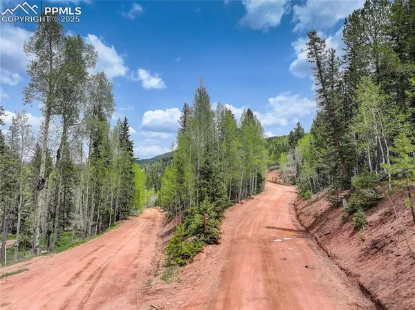 $35,000 | 416 Willow Road, Divide, CO 80814
