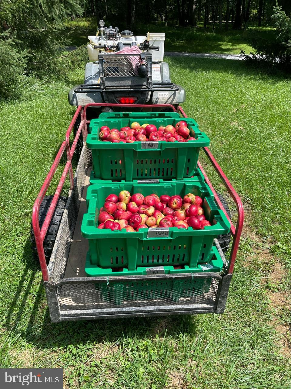 19403 Burnside Bridge Road Keedysville, MD 21756 - Photo 11 of 64 Apple Harvest