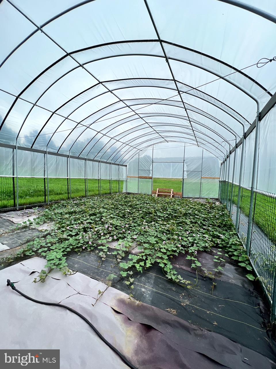 19403 Burnside Bridge Road Keedysville, MD 21756 - Photo 15 of 64 inside hoophouse