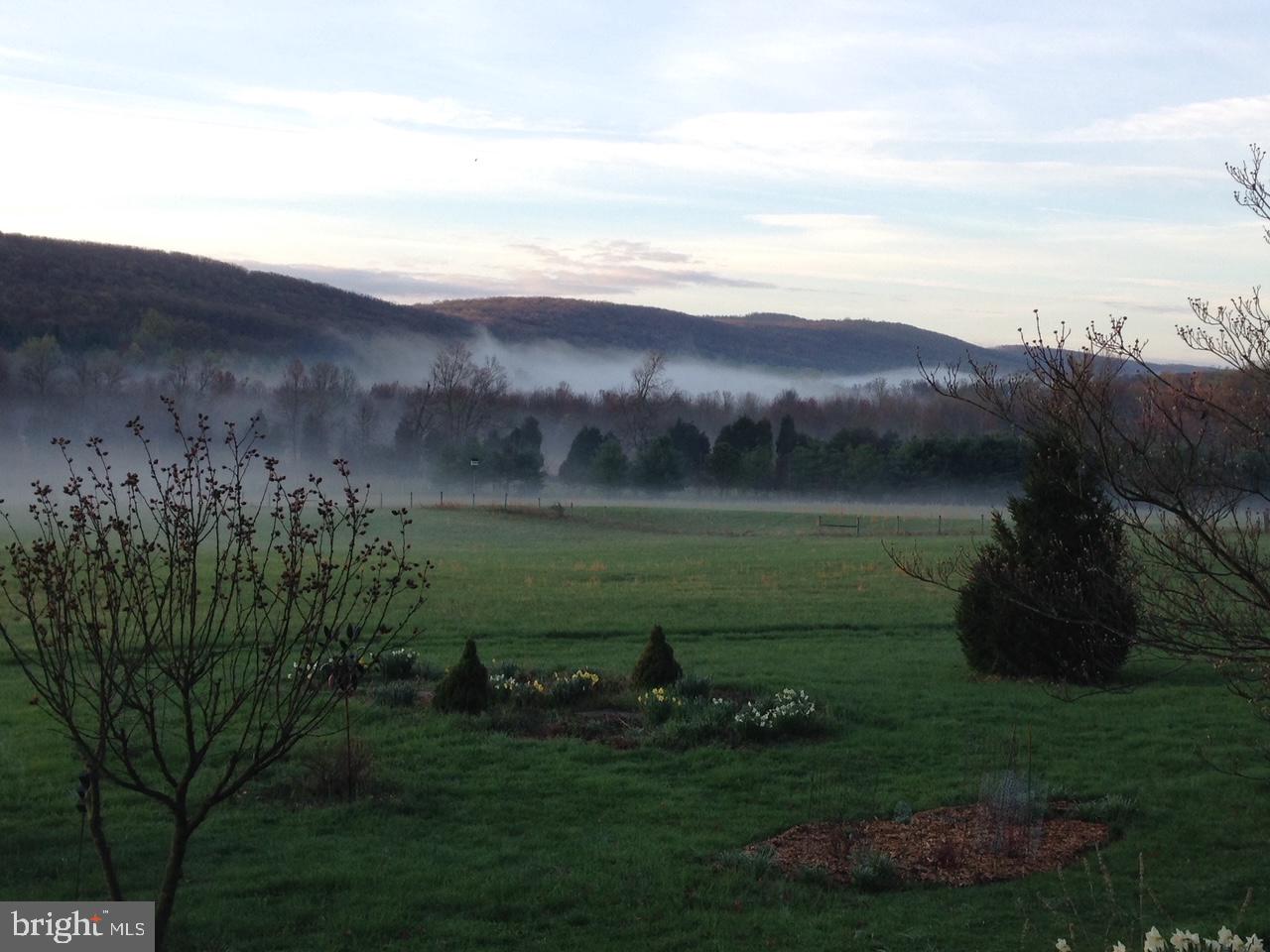 19403 Burnside Bridge Road Keedysville, MD 21756 - Photo 16 of 64 misty pasture view