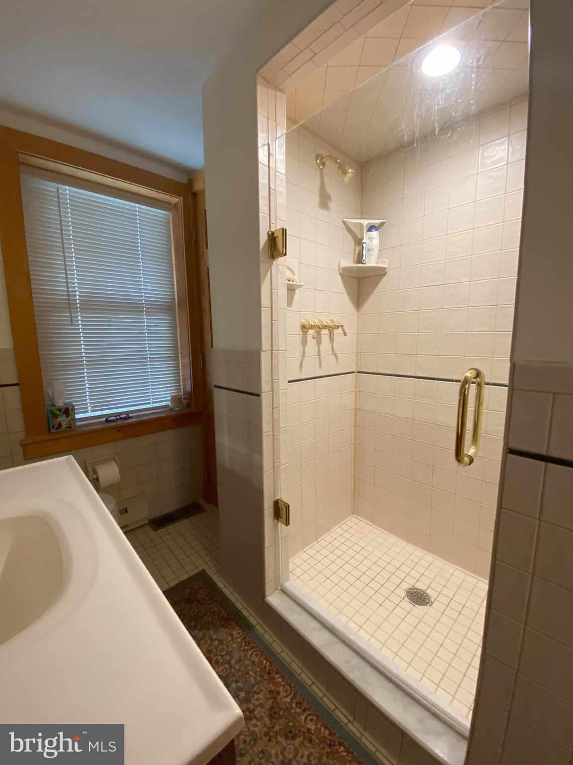 19403 Burnside Bridge Road Keedysville, MD 21756 - Photo 60 of 64 Main level shower