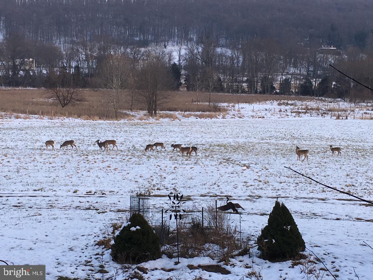 19403 Burnside Bridge Road Keedysville, MD 21756 - Photo 10 of 64 Winter view of pastures