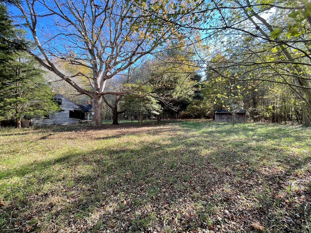 8-acres Redwood Road Onancock, VA 23417 - Photo 11 of 28