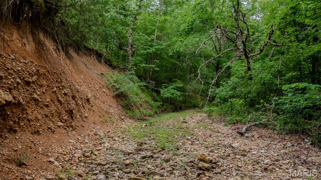 0 Hwy M Cabool, MO 65689 - Photo 27 of 68
