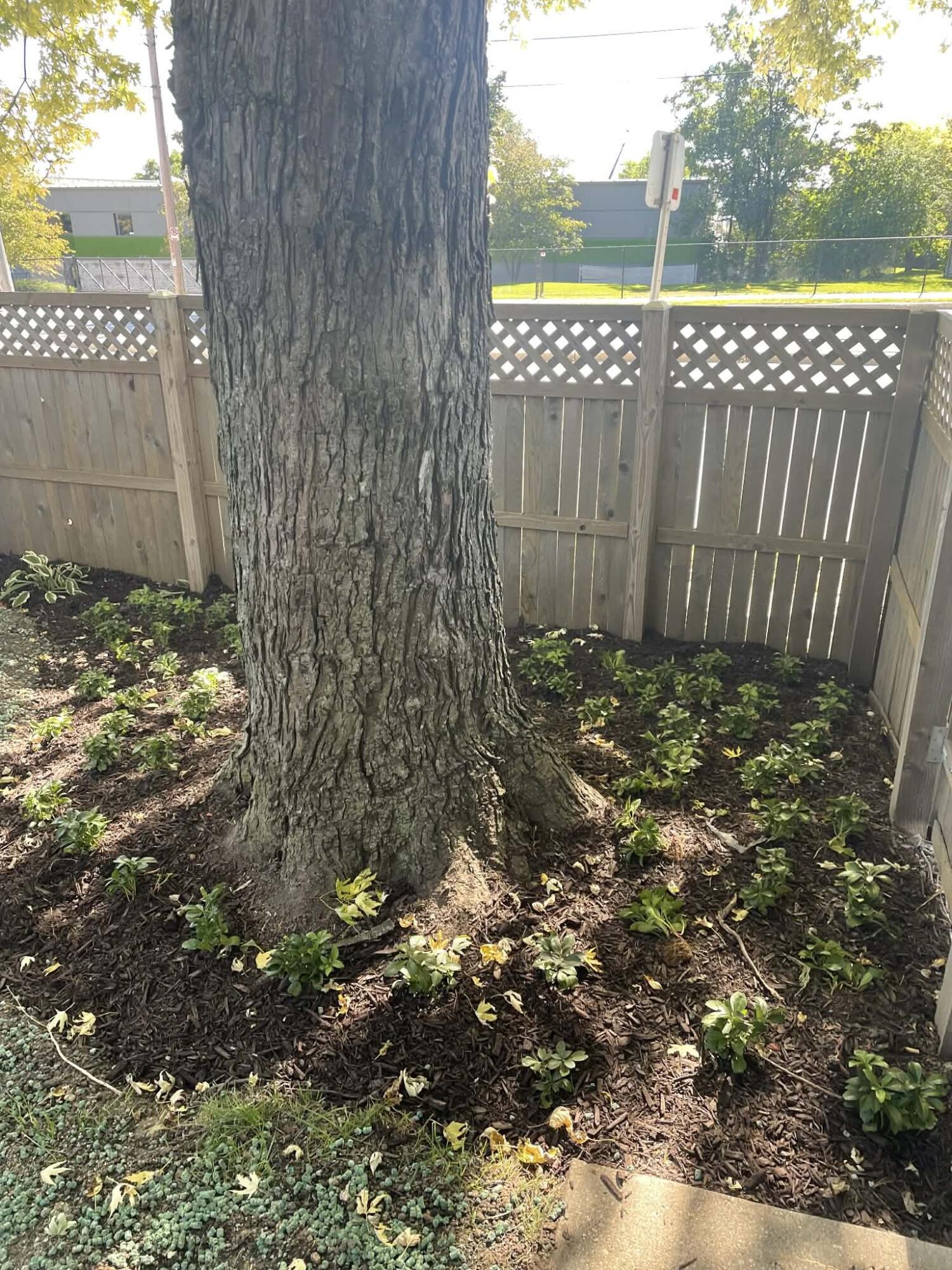 122 West Maple Street Milwaukee, WI 53204 - Photo 60 of 65 1aa3f901-a2b2-4b8d-b947-ceae4a5b0c7e