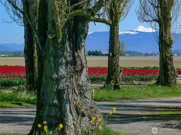 $600,000 | 16005 Laconner Whitney Road, La Conner, WA 98257