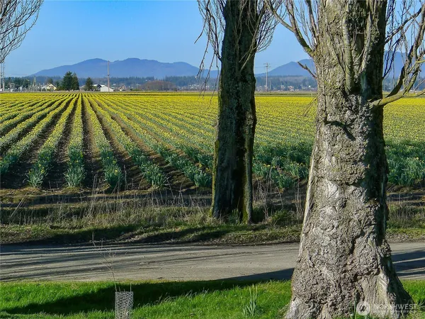 $600,000 | 16005 Laconner Whitney Road, La Conner, WA 98257