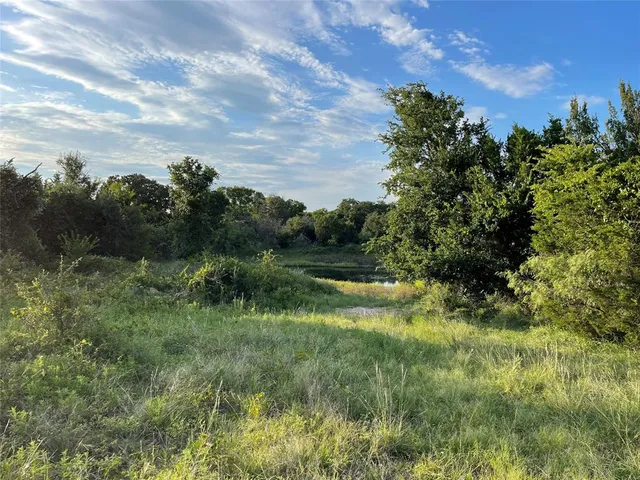a view of a green field with lots of bushes