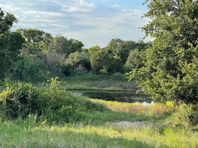 a view of a lush green forest with lawn chairs next to a yard