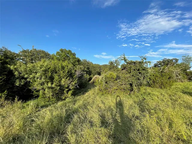 a view of a bunch of trees and bushes
