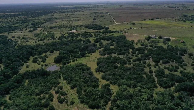 an aerial view of a forest with houses