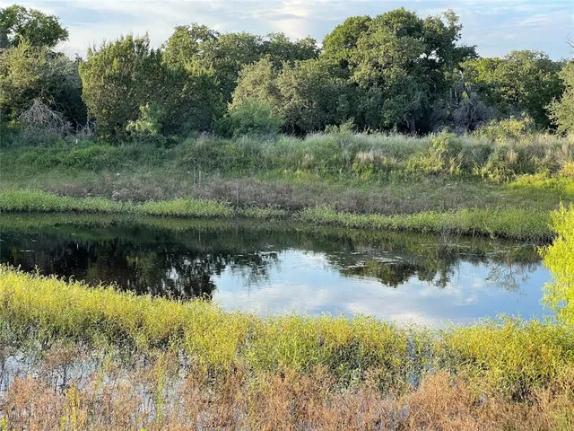 a view of a lake in middle of forest