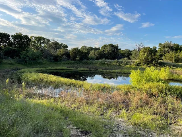 a view of a lake from a yard