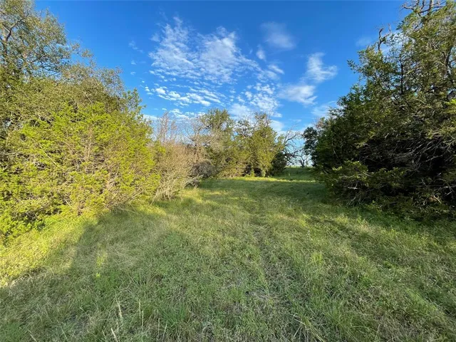 a view of outdoor space and trees