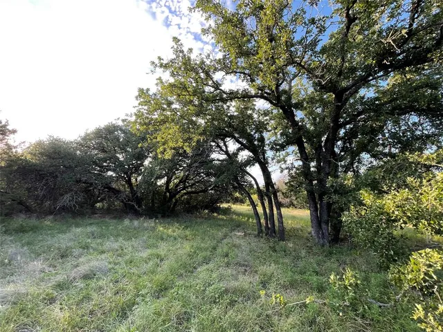 a view of outdoor space with trees all around