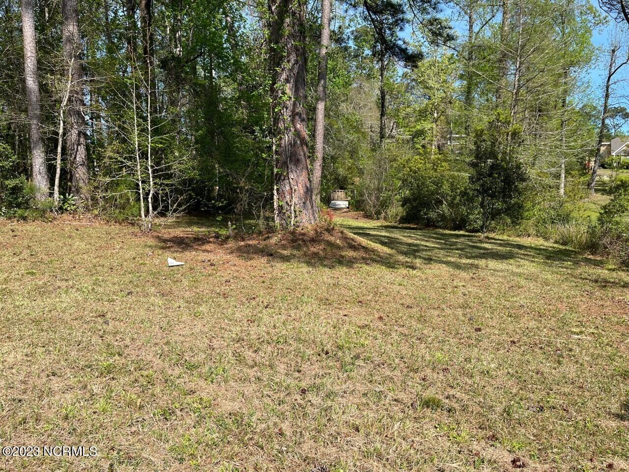 402 Ravenswood Road Hampstead, NC 28443 - Photo 105 of 130 Land 2