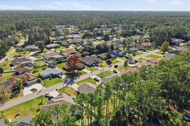 a view of a yard with plants