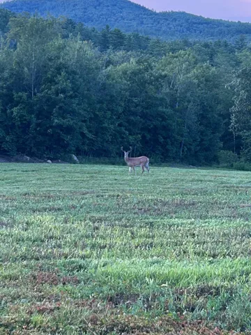 $995,000 | 298 Battle Street, Webster, NH 03303