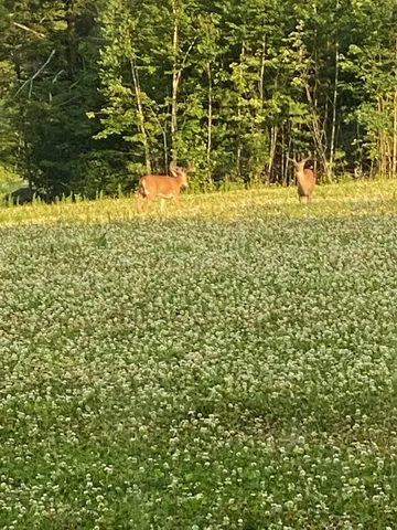 $995,000 | 298 Battle Street, Webster, NH 03303