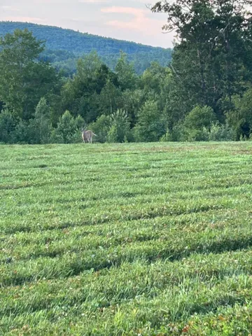 $995,000 | 298 Battle Street, Webster, NH 03303