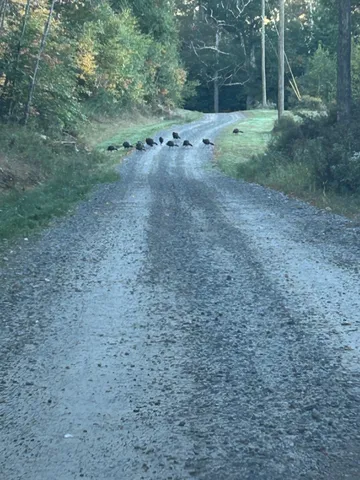 $995,000 | 298 Battle Street, Webster, NH 03303