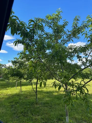 $995,000 | 298 Battle Street, Webster, NH 03303