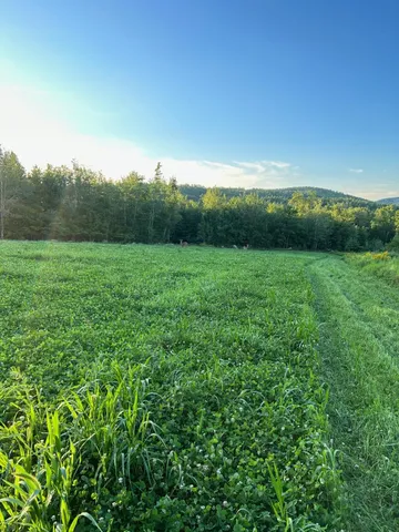 $995,000 | 298 Battle Street, Webster, NH 03303