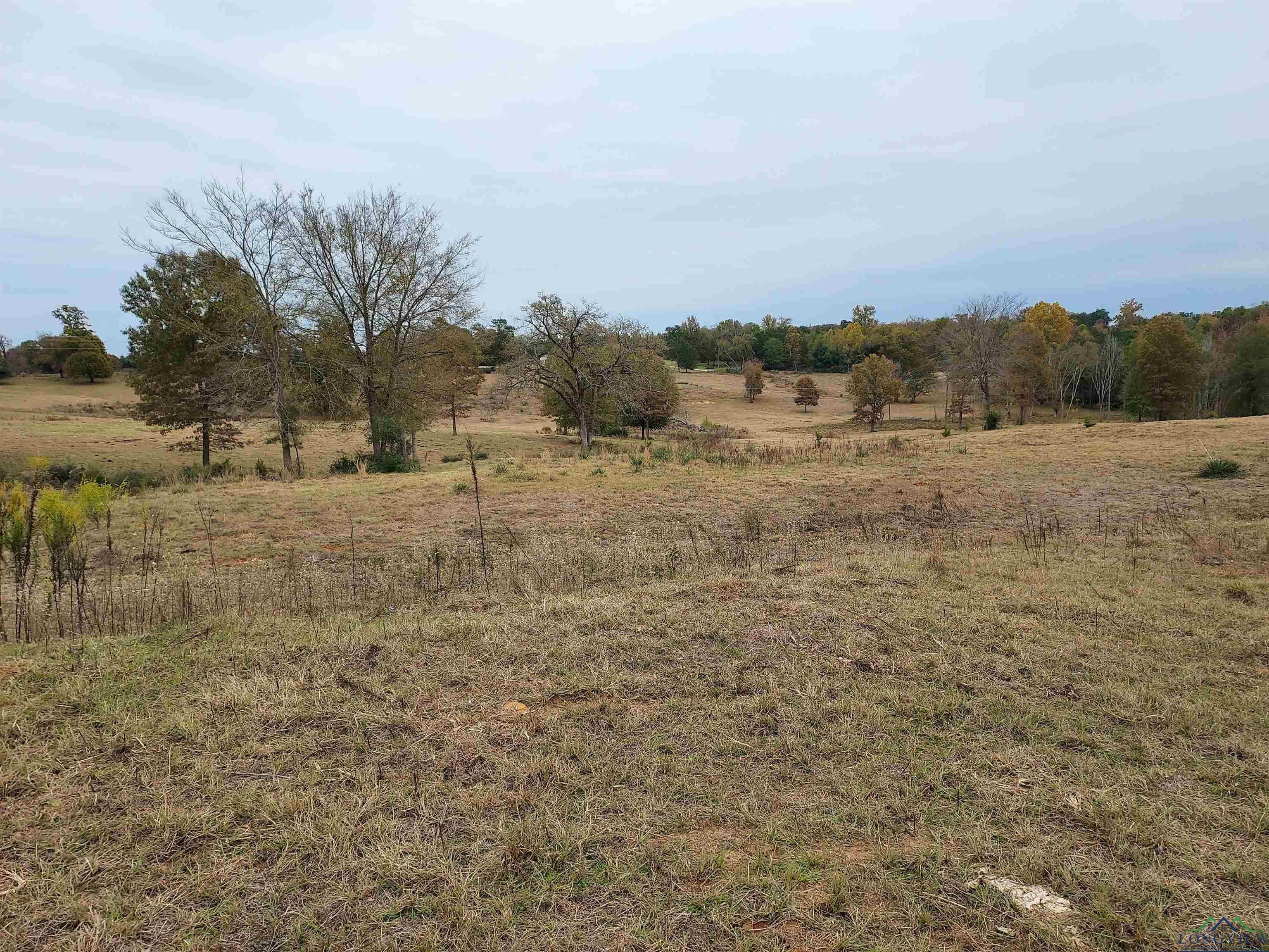 Tbd Almond Road Big Sandy, TX 75755 - Photo 33 of 36 Gallery Image 33