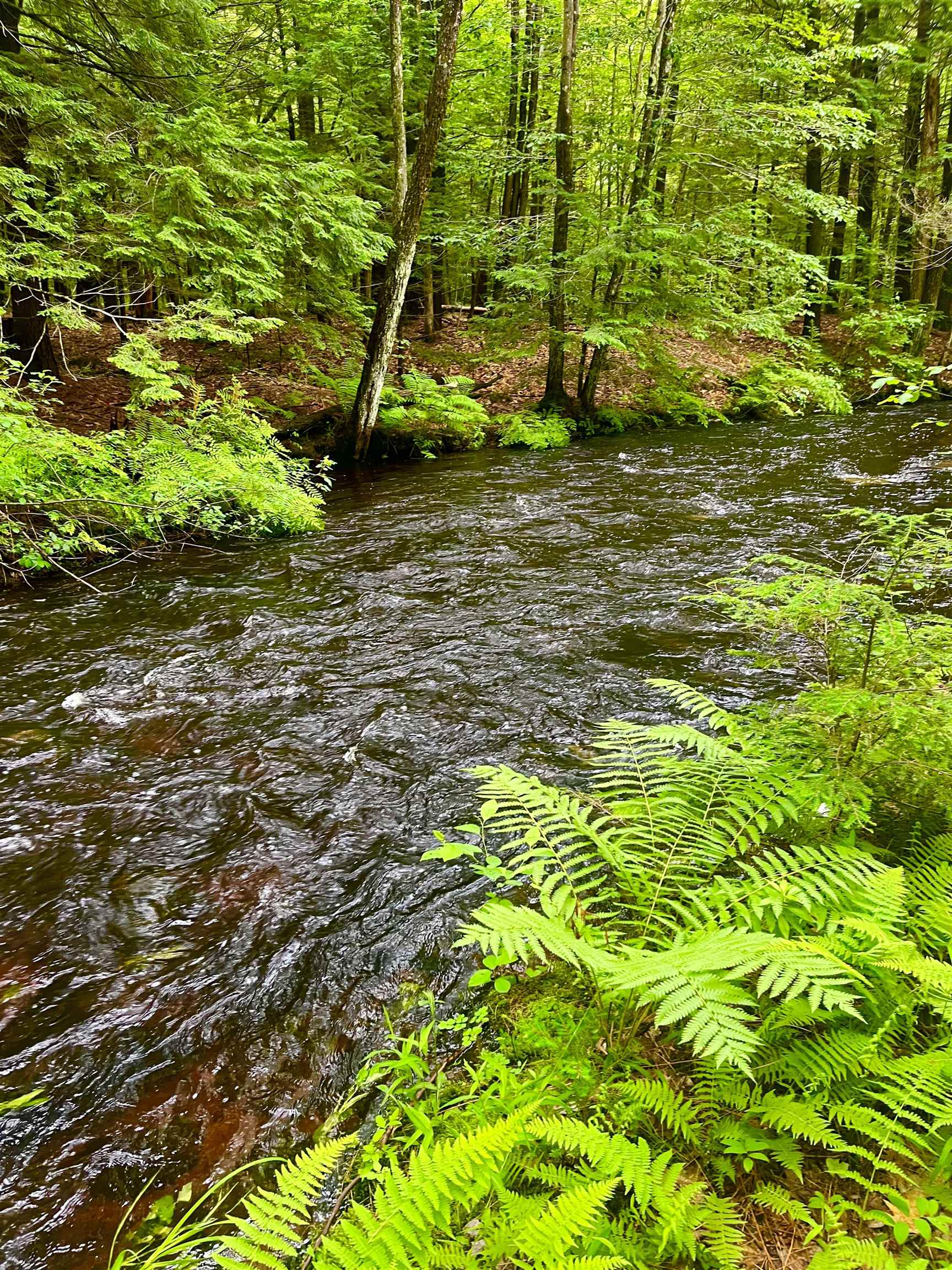 24-403 North Road Franklin, NH 03235 - Photo 12 of 16 Gallery Image 12
