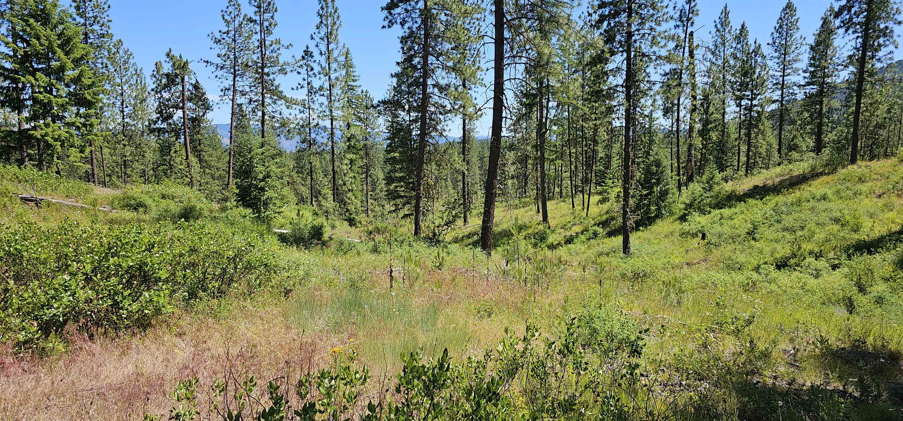 20 X Lynx Road Inchelium, WA 99138 - Photo 19 of 38 Gallery Image 19