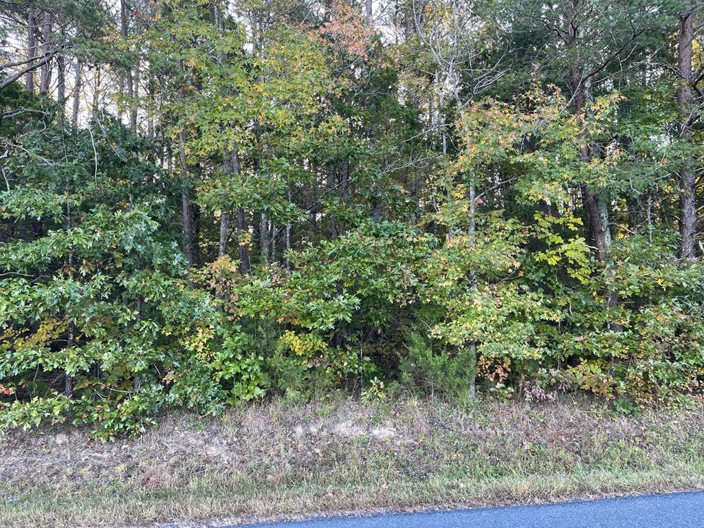 0 Asal Road Farmville, VA 23901 - Photo 7 of 48 Gallery Image 7