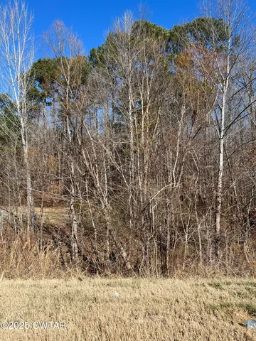 a view of a dry yard with trees