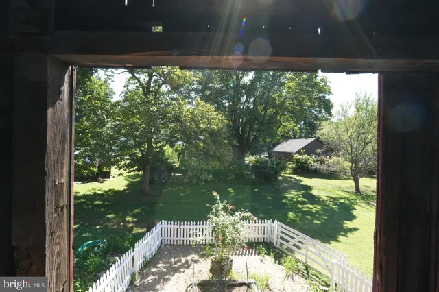 a view of backyard from window