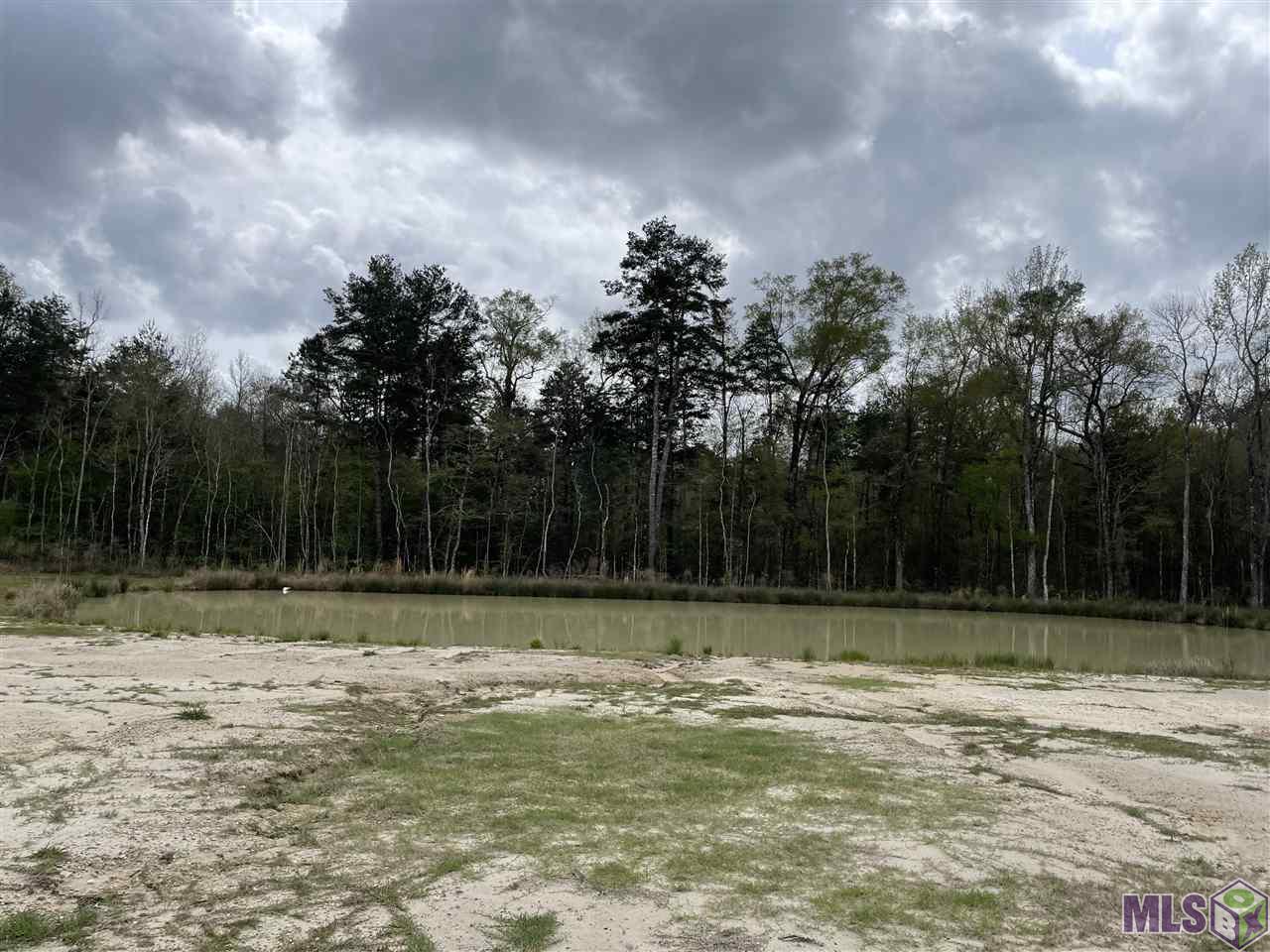 19398 Perrilloux Road Livingston, LA 70754 - Photo 36 of 39 Back yard