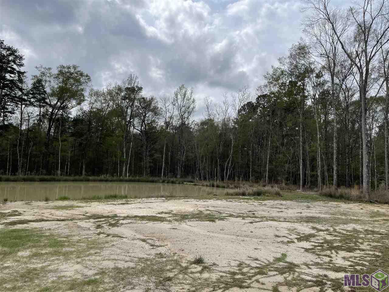 19398 Perrilloux Road Livingston, LA 70754 - Photo 38 of 39 Back Yard