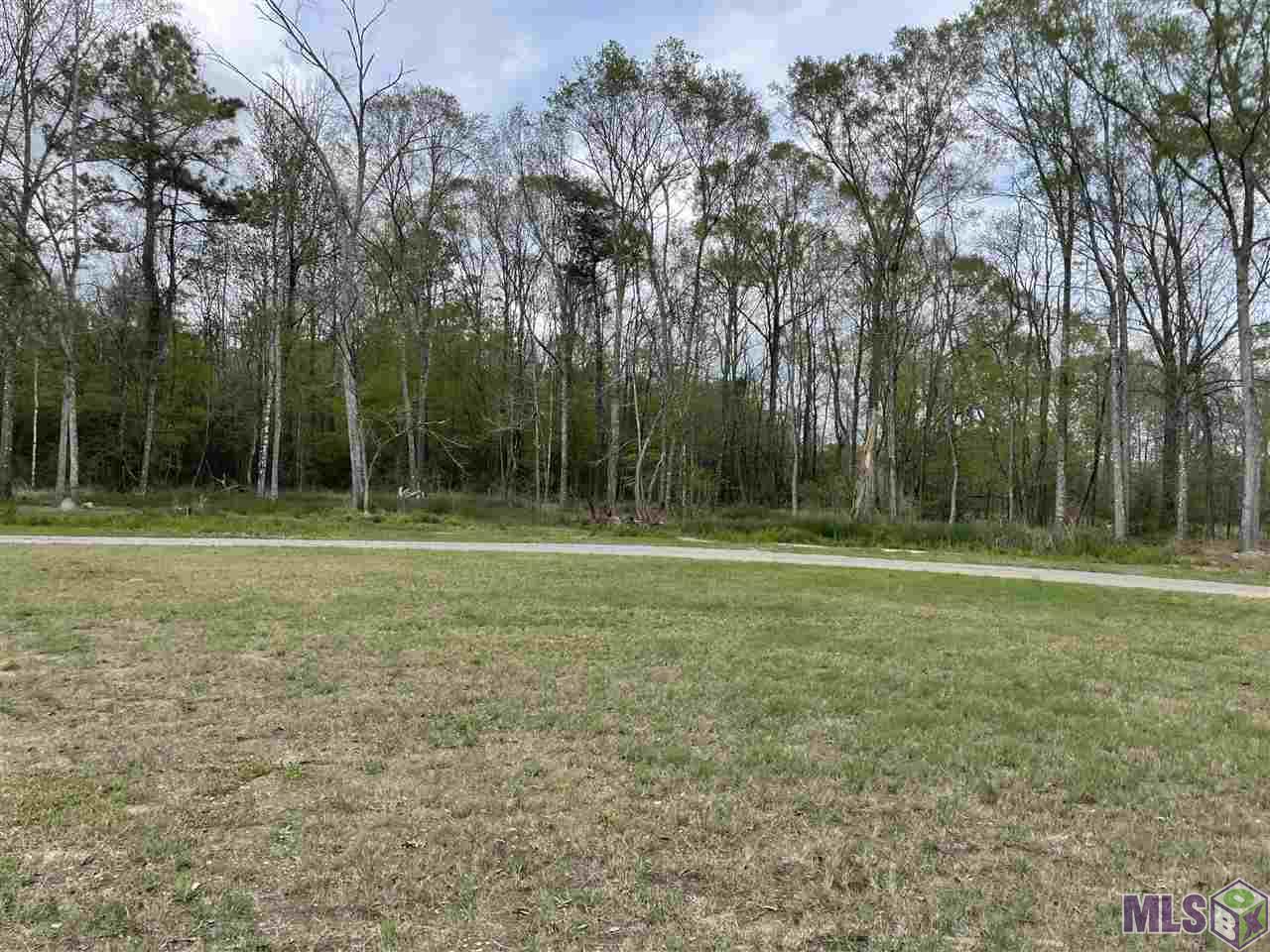 19398 Perrilloux Road Livingston, LA 70754 - Photo 4 of 39 Side Yard