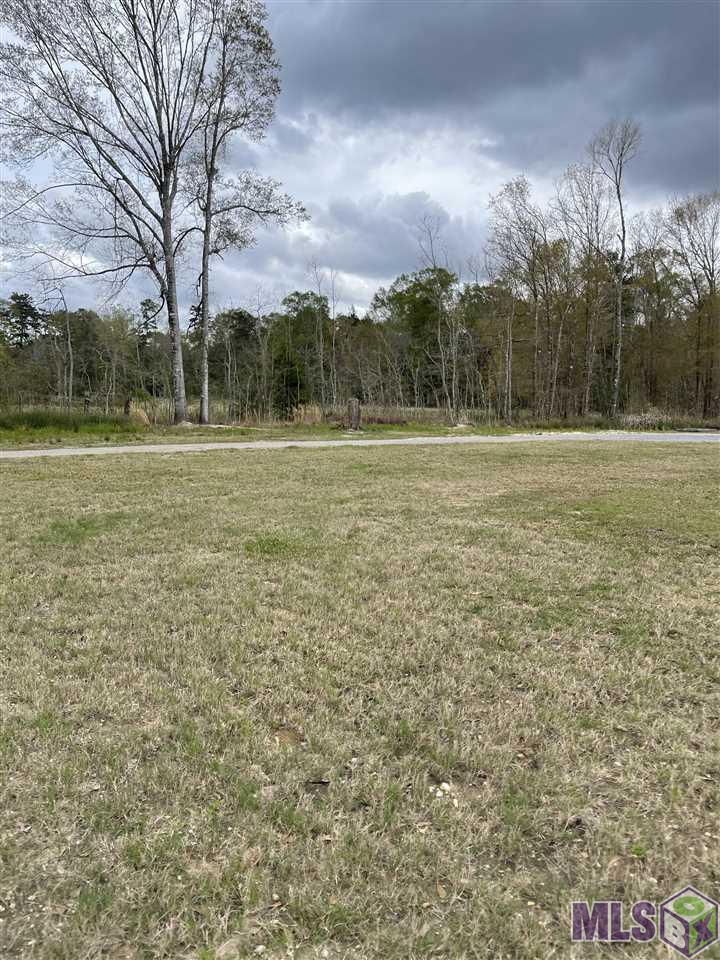 19398 Perrilloux Road Livingston, LA 70754 - Photo 5 of 39 Side Yard