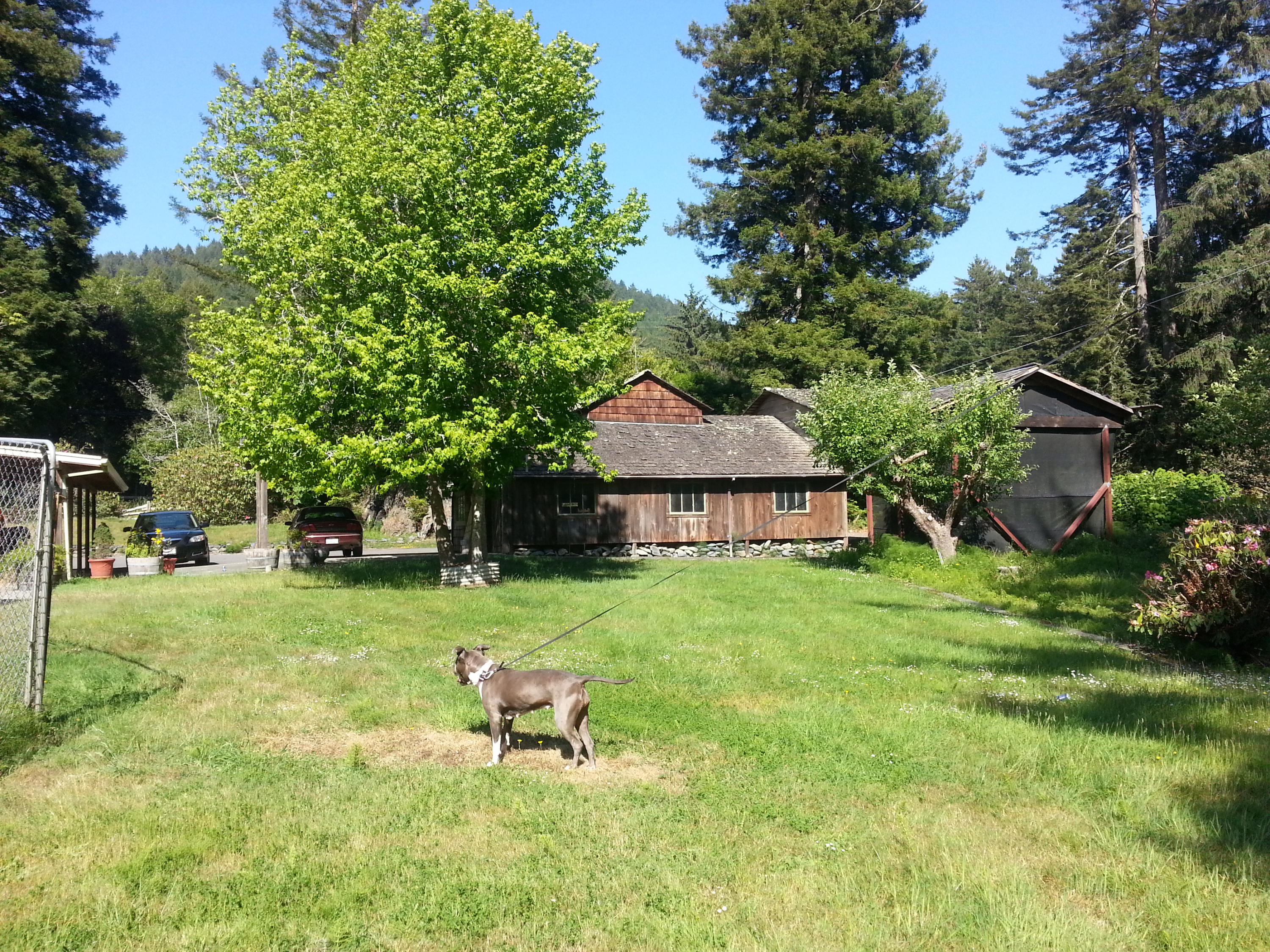 4651 Jacoby Creek Road Bayside, CA 95524 - Photo 31 of 50 Gallery Image 31