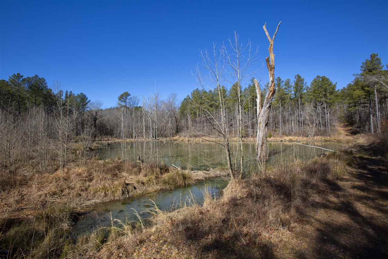 General Green Road Kittrell, NC 27544 - Photo 10 of 17 Photo 10