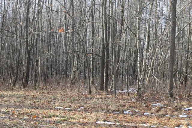 $259,000 | 25500 U-Drive South, Homer, MI 49245