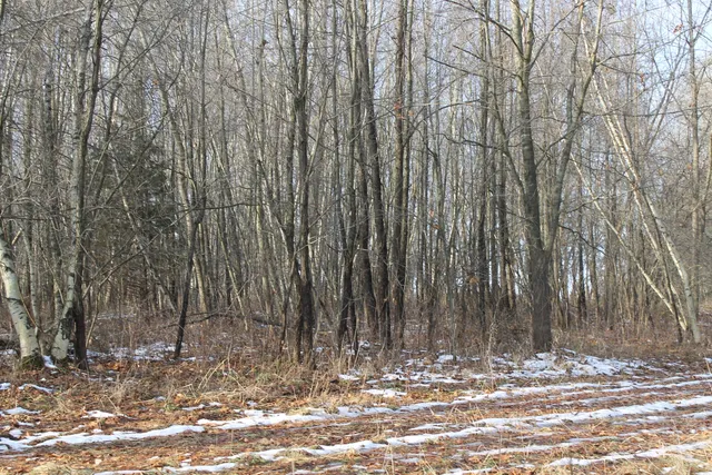 $259,000 | 25500 U-Drive South, Homer, MI 49245