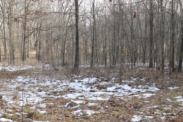 $259,000 | 25500 U-Drive South, Homer, MI 49245