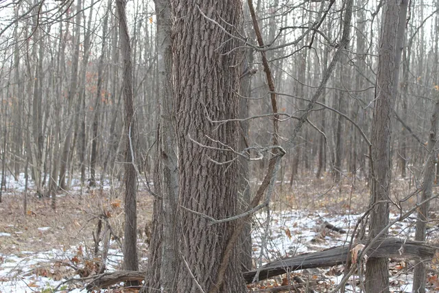 $259,000 | 25500 U-Drive South, Homer, MI 49245